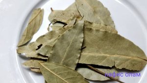 Лавр баргларининг фойдали ва зарарли хусусиятлари/ лавровый лист