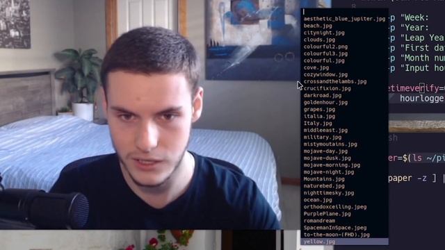 Python or Bash for scripting? Which is best?