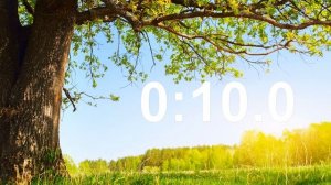 СЕКУНДОМЕР ⏱️ на 10 секунд