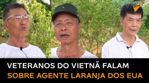 'Nossos filhos nascem sem saúde': vietnamitas relatam problemas herdados do agente laranja