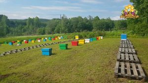 Работа с отводками