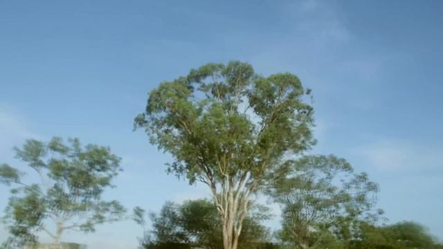 A tour of Kollam смотреть онлайн