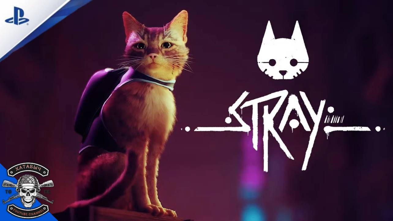 Кошачья банда STRAY