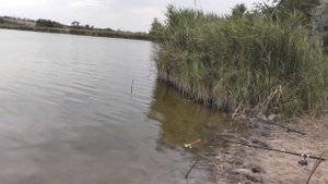 РЫБАЛКА | ЧИСТОПОЛЬ | НЕОЖИДАННЫЙ КОНЕЦ РЫБАЛКИ