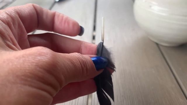 Попугай Жако Полина Ивановна. Почему им подрезают крылья. Мой Опыт 22 года. смотреть онлайн