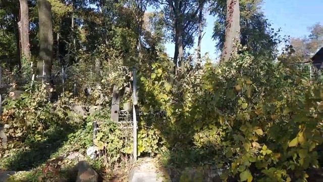 На Русском кладбище в Житомире озеленители побили могилы