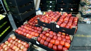 ФУД СИТИ 14.11.2021 ОБЗОРЫ И ЦЕНЫ