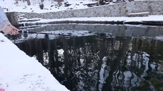 РЫБАЛКА на АЙ-ПЕТРИ  Форель на удочку 19.02.2021 Рыбалка в Ялте