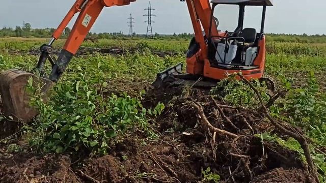 Разработка ПРОДОЛЖАЕТСЯ!! Сколько ГЕКТАР получится!?!? смотреть онлайн