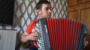 Божья коровка - Гранитный камушек (баян - cover)