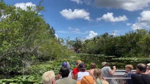 ПУТЕШЕСТВИЕ В НАЦИОНАЛЬНЫЙ ПАРК ЭВЕРГЛЕЙДС ( EVERGLADES) МАЙАМИ.ФЛОРИДА.