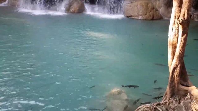 20190101 Таиланд. Национальный парк Эраван смотреть онлайн