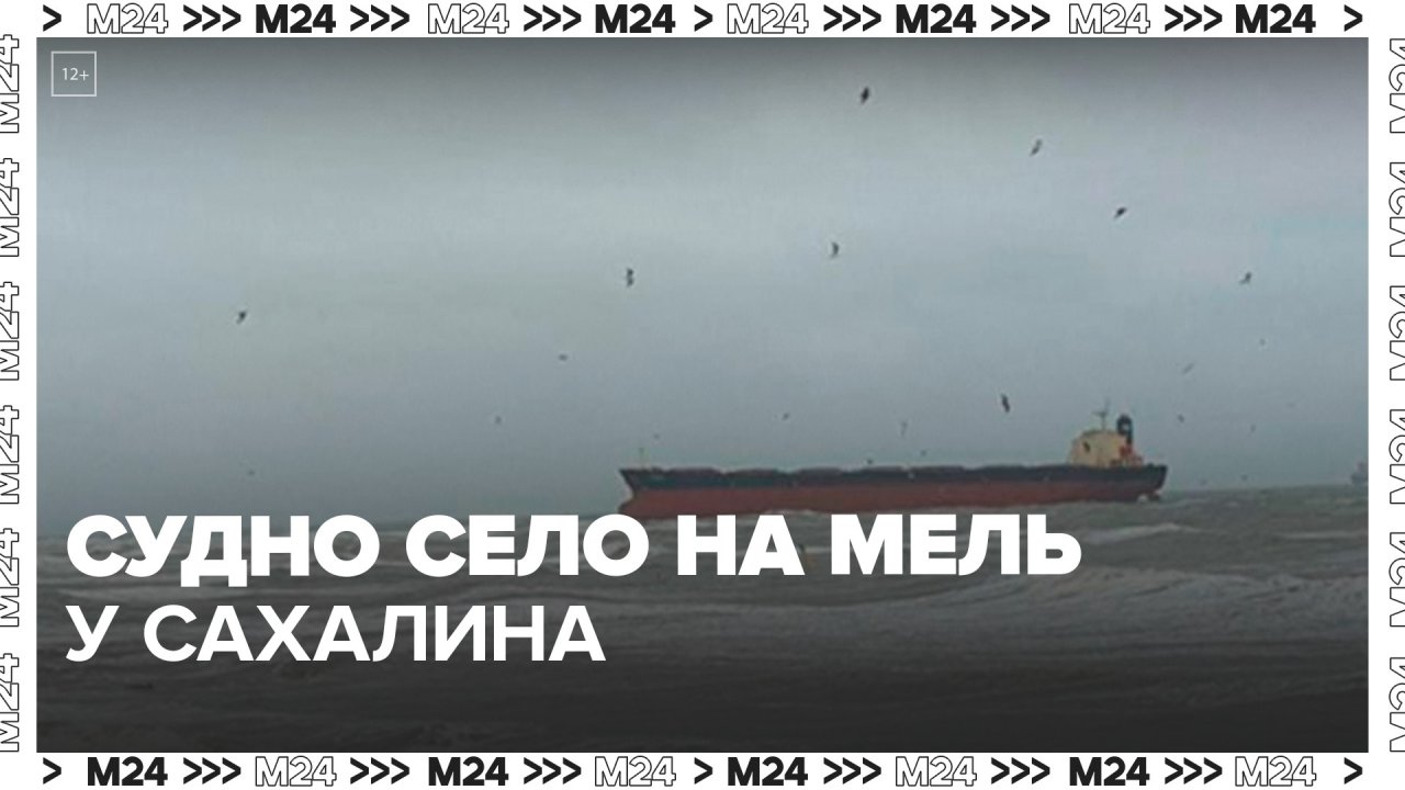 Грузовое судно под либерийским флагом село на мель у Сахалина - Москва 24