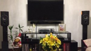 Focal Chorus 706 + MUSIC HALL a15.3 + Pro-Ject DAC BOX S2+