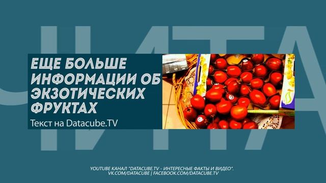 Джекфрут – вкусный тропический фрукт из Индии и Юго-Восточной Азии смотреть онлайн
