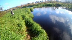 Рыбалка на боковой кивок на реке Молва