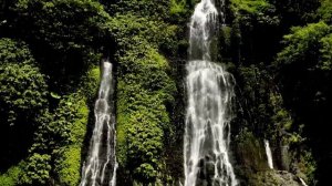 Японские пословицы и поговорки.