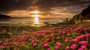 Иисус как прекрасен Ты