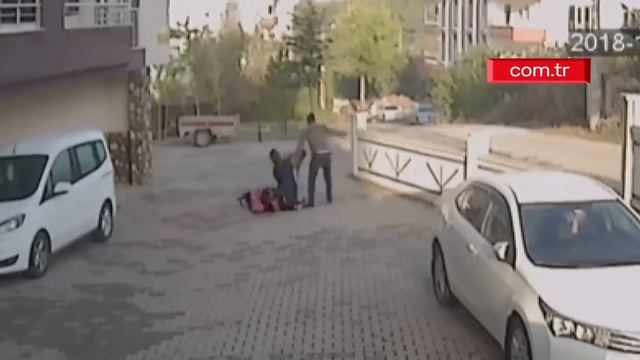 Бешеные собаки. Нападение на ребенка.