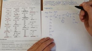 Трипептиды как составлять (РязГМУ 2 семестр последний коллок)