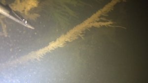 Подводная охота в Башкирии.река белая в сентябре.