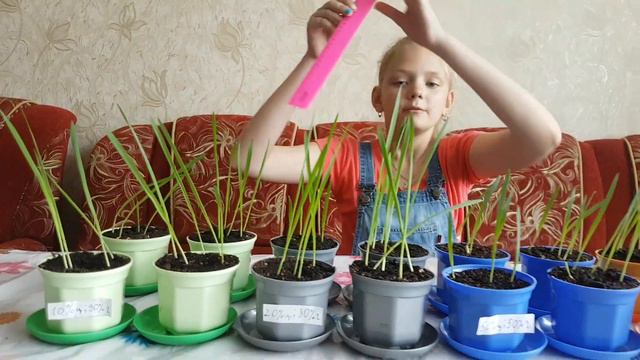 4. Первые результаты моего биологического исследования. смотреть онлайн