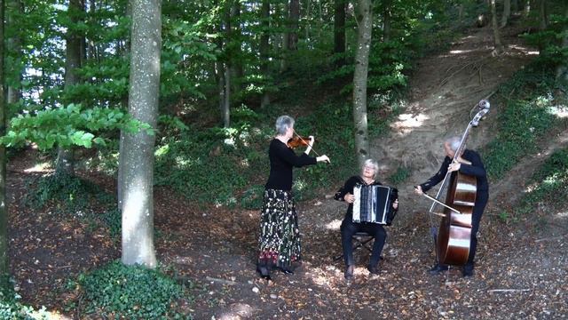 TRIO D'ACCORDO - Bagatelle - Antonín Dvořák Op. 47 Nr. 5 смотреть онлайн