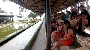 Нячанг 2019 остров обезьян - обезьяны на мотоциклах и заплыв