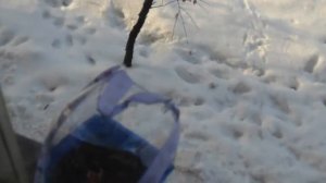 Кормушки для синиц. Кормление птиц зимой.