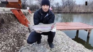 Платная рыбалка пруд "Чёрные камни" форель 12.03.20г.