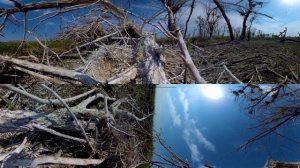 Астраханский биосферный заповедник 360⁰