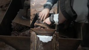 Дробилка кедровых шишек