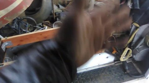 Приобретение снегоход /буран