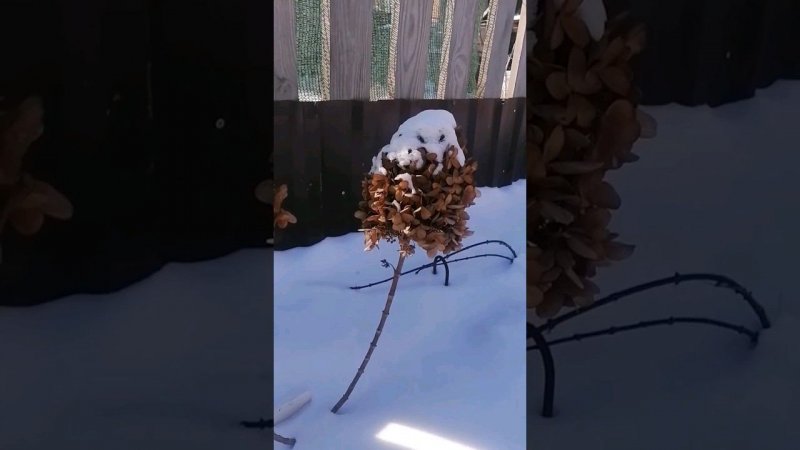 на Юге