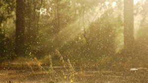 Федор Тютчев "Весенняя гроза"