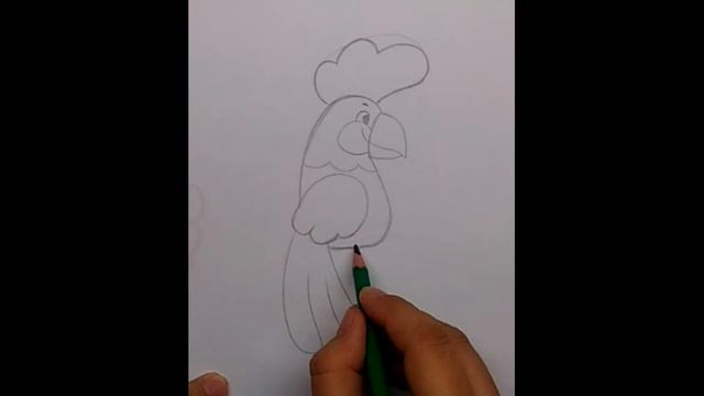 Как нарисовать мультяшного попугая