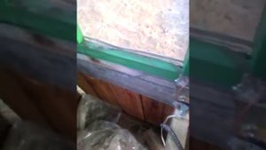 Самодельная Мельница для кедровых шишек