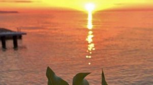 Нурислан Мурадов - даргинская песня✨