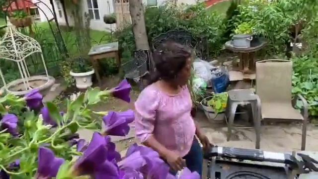 Planting Petunias in Boxes for Summer смотреть онлайн