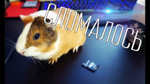 Сломались карты памяти - Вложки