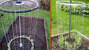 Идеи для обустройства дачного участка. Как дёшево облагородить участок дома