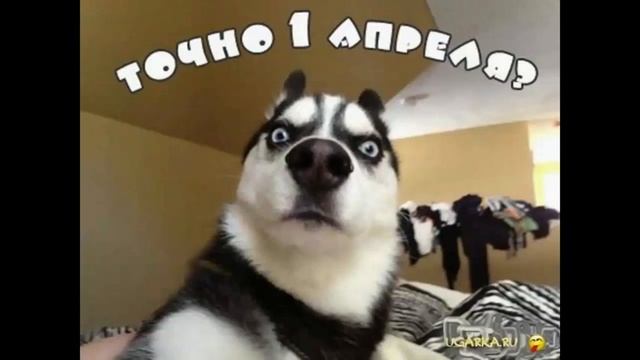 праздник 1 апреля день смотреть онлайн