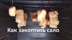 Как правильно закоптить сало(горячим способом)