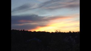 К. Паустовский. Рассказ" Пришелец с юга". Аудиокнига.