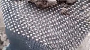 Нашёл первую чешую в Беларуси!!!Металлоискатель нокта симплекс плюс
