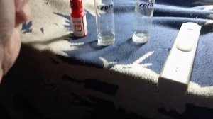 Дискусы, ответы на вопросы, в какой воде я содержу и развожу дискусов. Ph, Kh, TDS, temp.