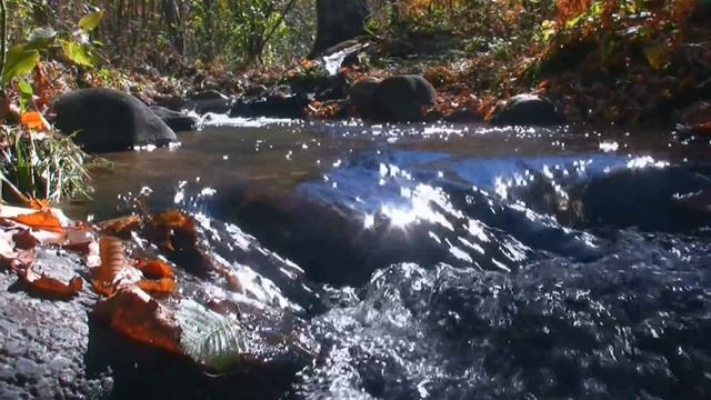 "More Than A River" from our DVD "An Introduction To Canoe /Kayak Camping" смотреть онлайн