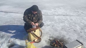 Рыбалка под городом,пица на природе.