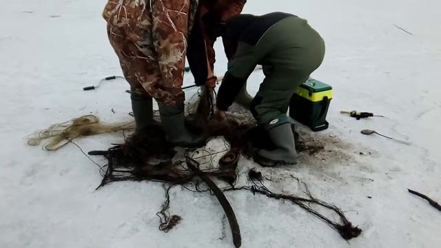 Сурское водохранилище смотреть онлайн