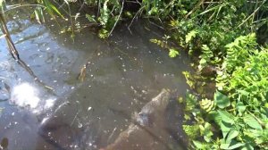 ЛОВИМ РЫБУ НА ТРЕУГОЛЬНИК! УЧИМ МЛАДШЕГО БРАТА ЛОВИТЬ РЫБУ!